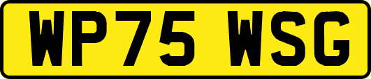 WP75WSG