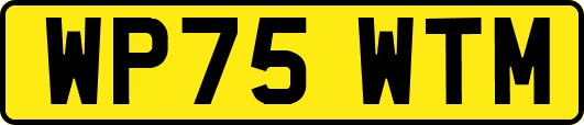 WP75WTM