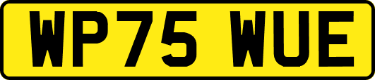 WP75WUE