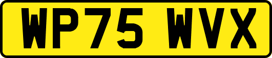 WP75WVX