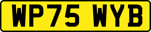 WP75WYB