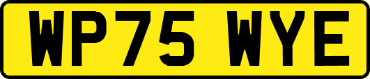 WP75WYE