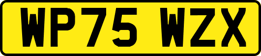 WP75WZX