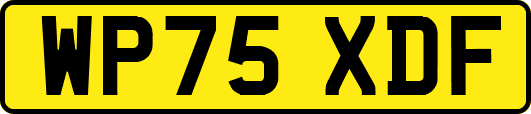 WP75XDF