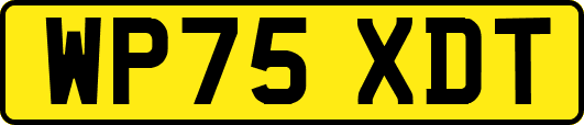 WP75XDT