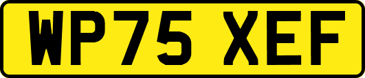 WP75XEF