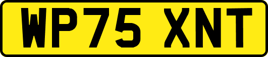 WP75XNT