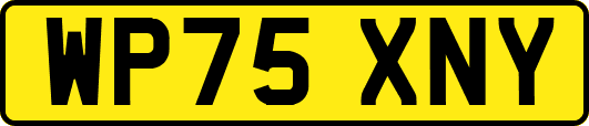 WP75XNY