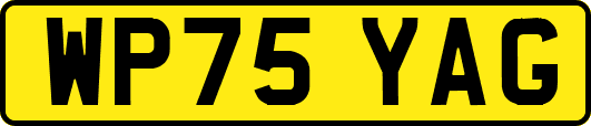 WP75YAG