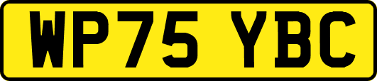 WP75YBC