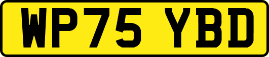 WP75YBD