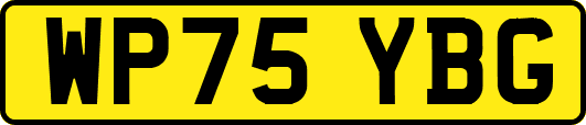 WP75YBG