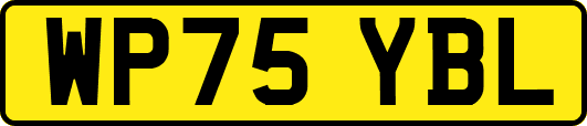 WP75YBL