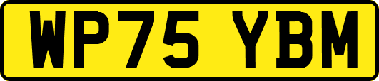 WP75YBM