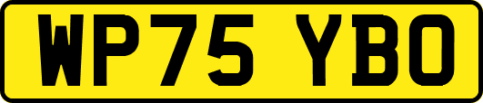 WP75YBO