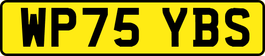 WP75YBS