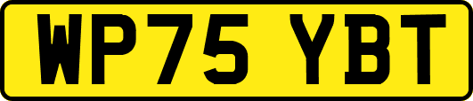 WP75YBT