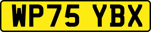 WP75YBX