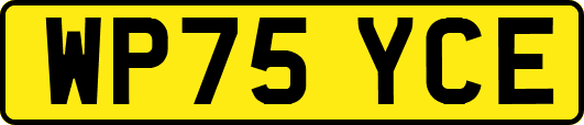 WP75YCE