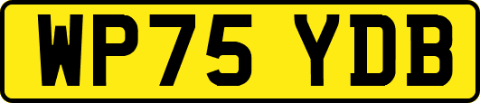 WP75YDB