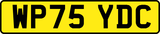 WP75YDC
