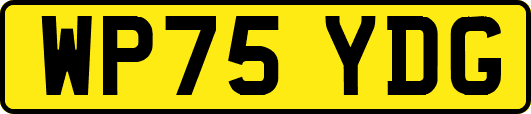 WP75YDG
