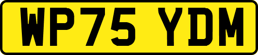 WP75YDM