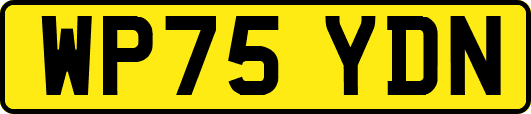 WP75YDN