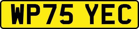 WP75YEC