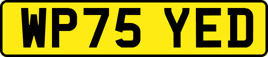 WP75YED