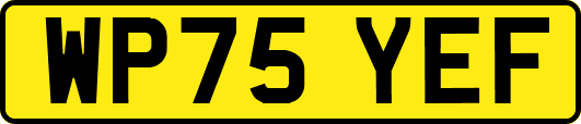 WP75YEF