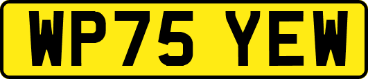 WP75YEW