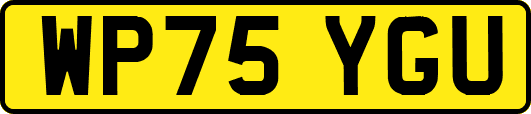 WP75YGU