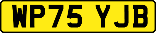 WP75YJB