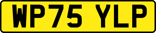 WP75YLP
