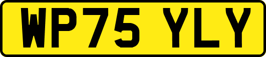 WP75YLY