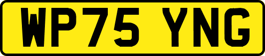 WP75YNG