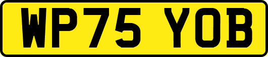 WP75YOB
