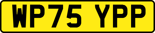 WP75YPP