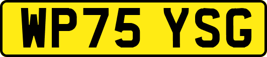 WP75YSG