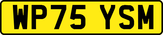 WP75YSM