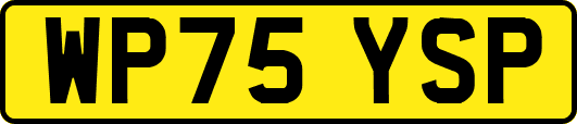 WP75YSP