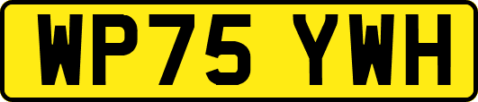 WP75YWH
