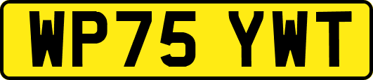 WP75YWT