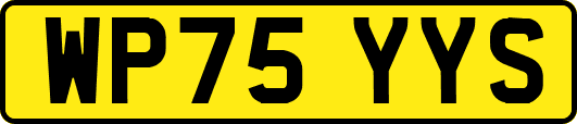 WP75YYS