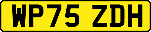 WP75ZDH