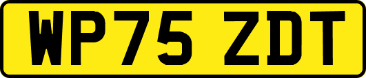 WP75ZDT