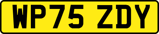 WP75ZDY