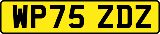 WP75ZDZ