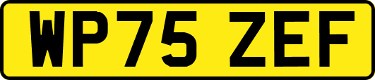 WP75ZEF